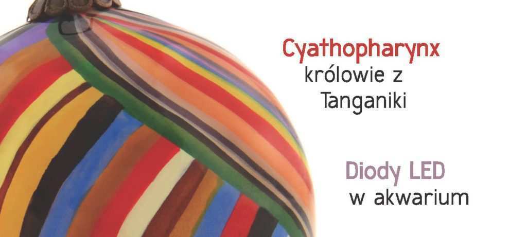 Okładka Magazyn Akwarium czasopismo 12/2012 miesięcznik akwarystyczny
