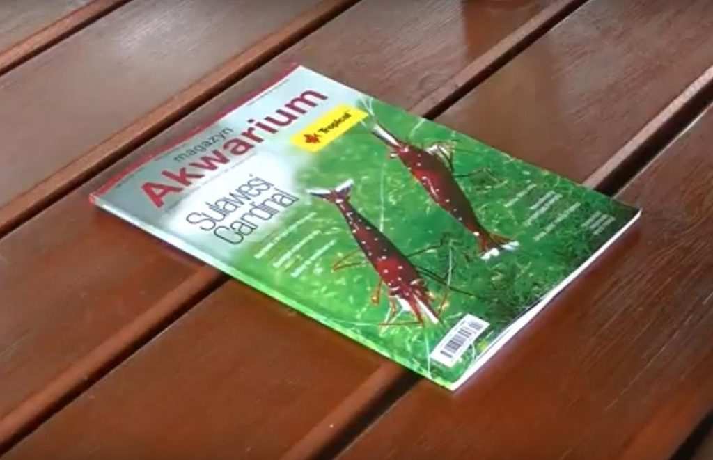 recenzja wydania czasopisma Magazyn Akwarium