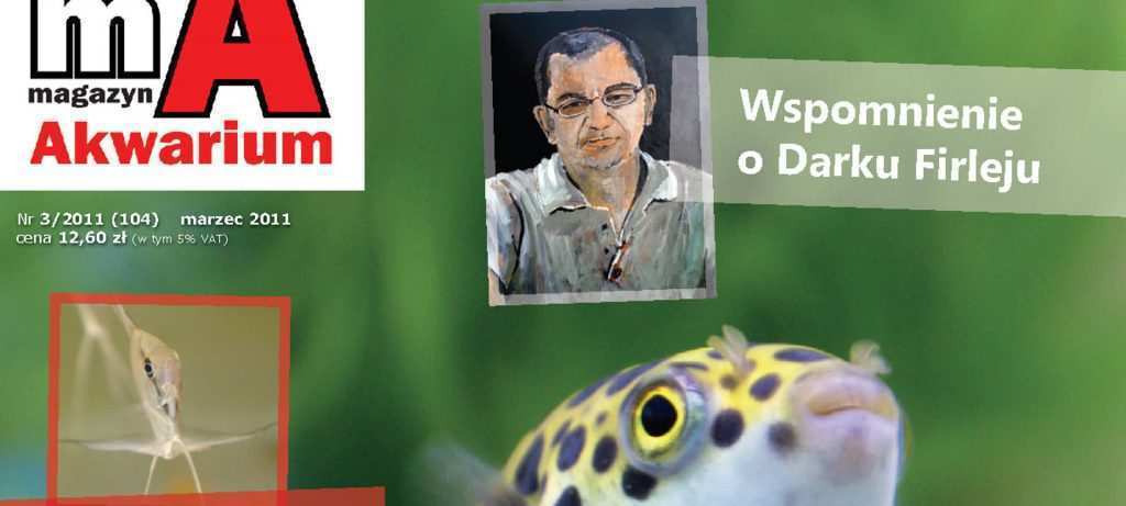 Okładka Magazyn Akwarium czasopismo 3/2011 miesięcznik akwarystyczny