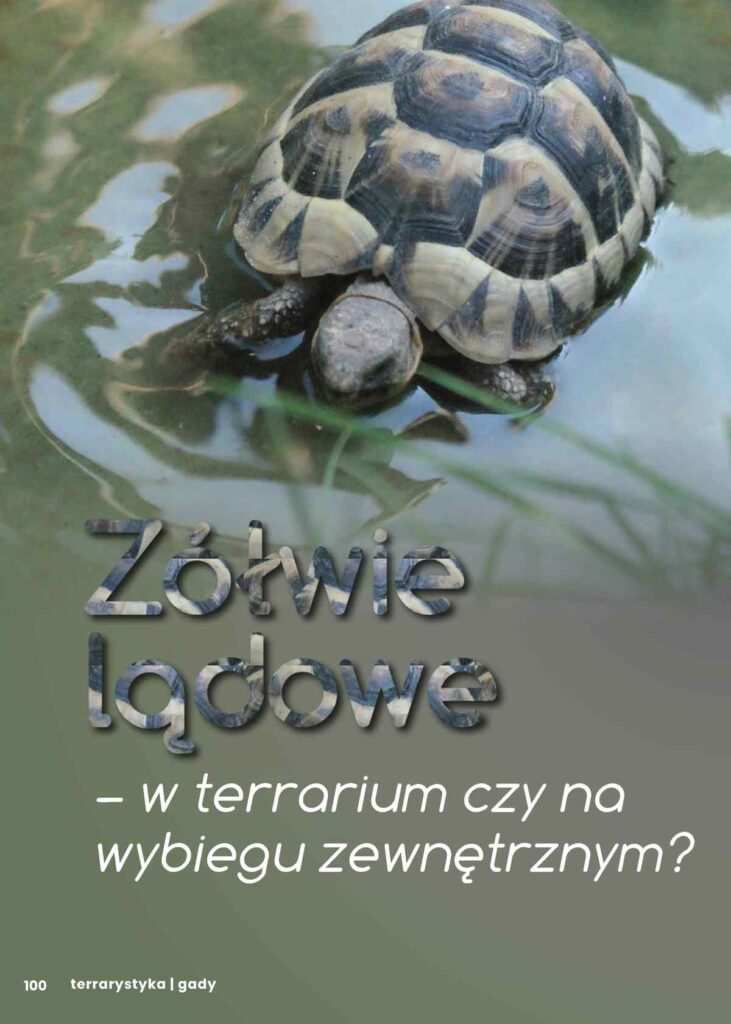 wybieg dla żółwi