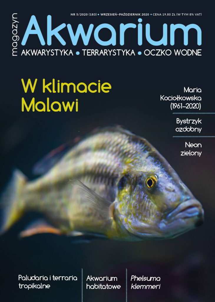 Magazyn Akwarium czasopismo 5/2020