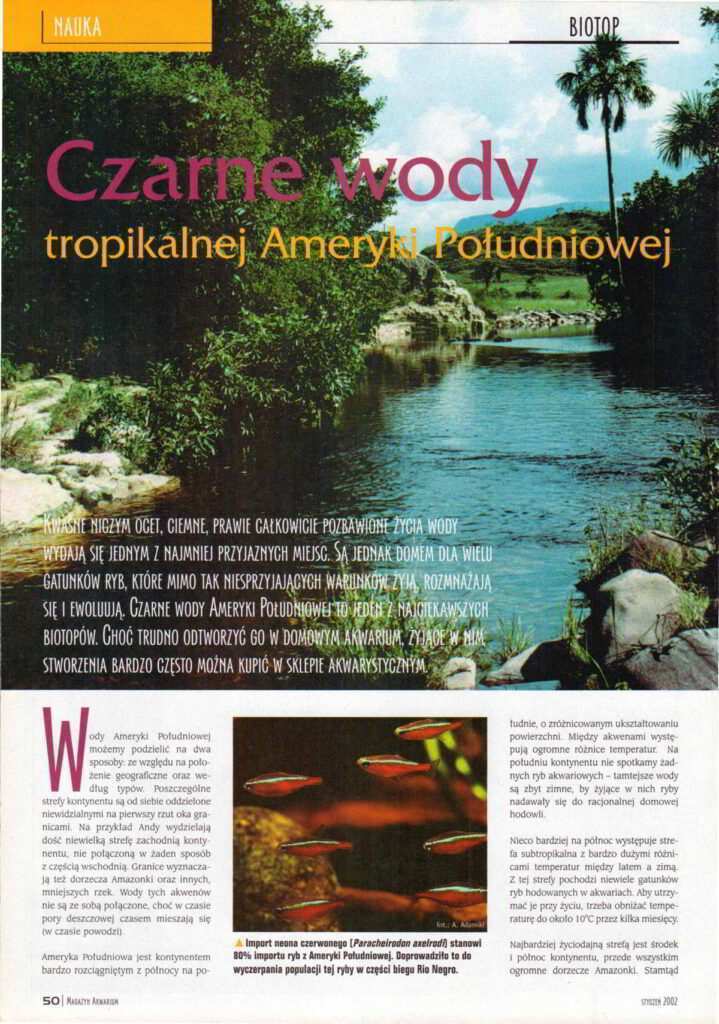 czrne wody akwarium biotopowe środowisko naturalne