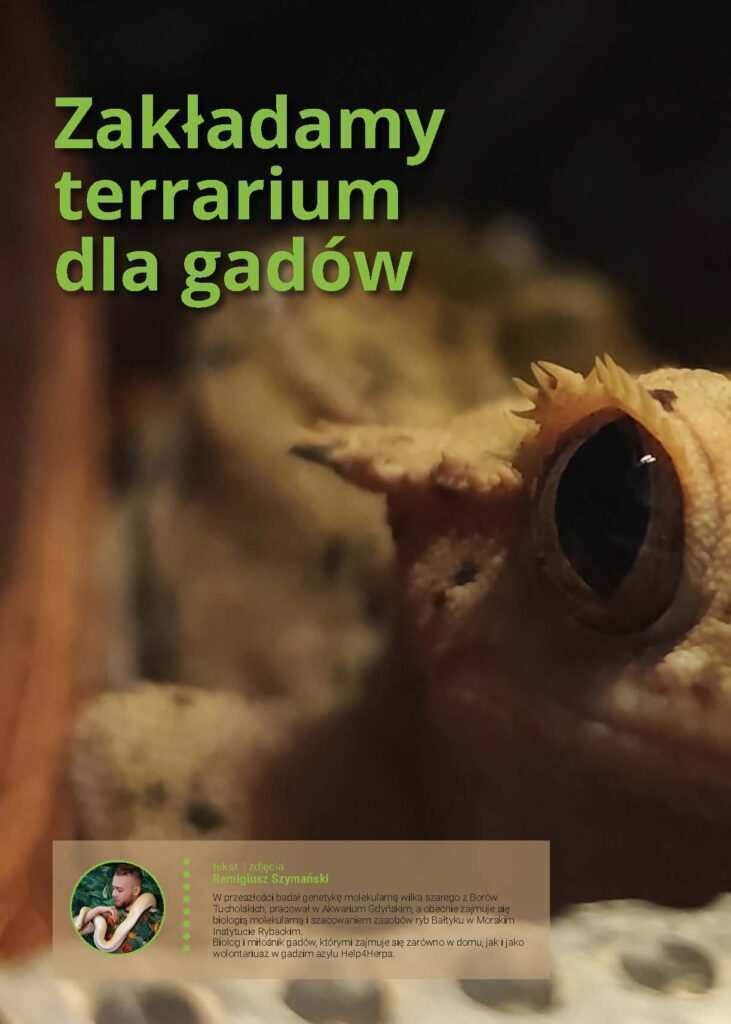 Terrarium dla gadów