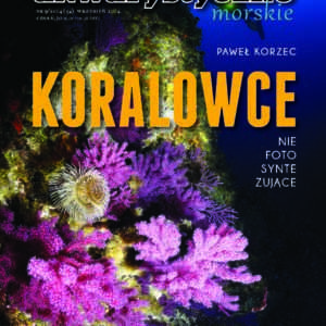 Koralowce niefotosyntezujące