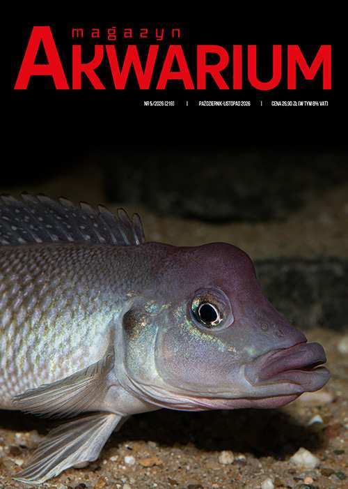 Prenumerata Magazynu Akwarium