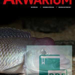 Magazyn Akwarium nr 5/2026 (219) - obrazek 2